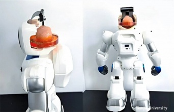 人間の細胞を培養して作った脳で動くロボットが中国で開発される