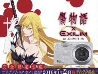 (C) 西尾維新／講談社・アニプレックス・シャフト