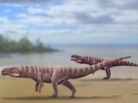 白亜紀に生息していた古代ワニは恐竜のように二足歩行していた
