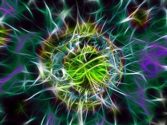 bacteria-1477522_640_e