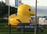 衝撃！　路上の巨大アヒルが飛び立つ！？