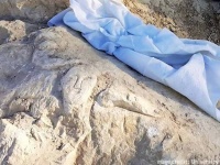 古代ローマ時代の岩に人間の顔と男根、果物の籠の彫刻が発見される。約2000年前のもの