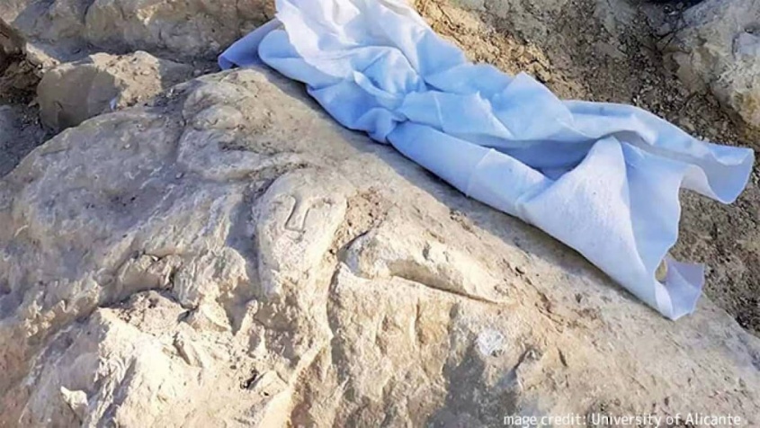 古代ローマ時代の岩に人間の顔と男根、果物の籠の彫刻が発見される。約2000年前のもの