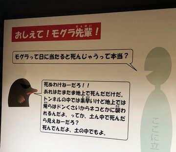 キレキレのモグラ先輩（画像は梓 尤稀＠azutya