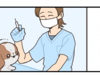 注射が怖い子犬 VS 無慈悲な獣医さん　不憫カワイイ結末に4万人もん絶