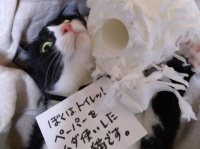 ちょっぴりドヤ顔