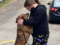 見知らぬ犬が女性の体の異変に気付き、心配そうに駆け寄ってきた。運命の出会いにより家族となる