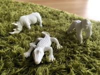 大人買いしてきたアニマル消しゴム