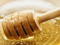 iStock_000019684515_Medium