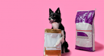 Research Nester Private Limitedのプレスリリース画像