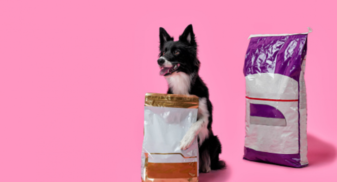 Research Nester Private Limitedのプレスリリース画像