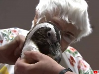 「ペンギンと触れ合いたい」104歳のおばあさんの生涯の夢が叶う瞬間