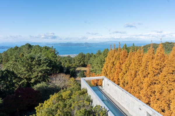 この宿を目的に、ぜひ松山へ。旅ライターも感動した憧れのホテル「瀬戸内リトリート青凪 by 温故知新」