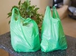 注意！　レジ袋を“アレ”の代わりに使ってはいけない！