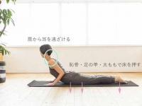 コブラのポーズの効果とやり方【ヨガの基本】