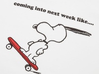 （C）2020 Peanuts Worldwide LLC