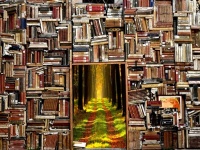 心臓の不思議。同じ物語を別々に聞いている時、人の心拍数はシンクロする