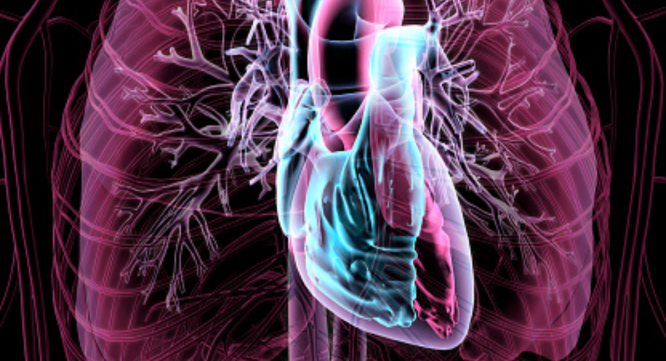 Research Nester Private Limitedのプレスリリース画像