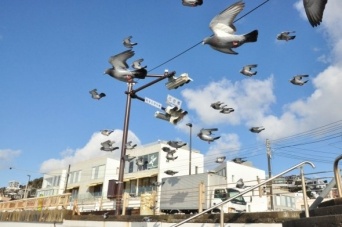 天狼星（＠tianlangxing）さんのツイート