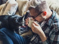 ネコと和解せよ。無宗教者の方が猫を飼っている確率が高いことが判明（アメリカ研究）