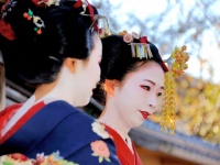 花嫁候補におどり出る！「舞妓はん」に学ぶイイ女の心得4つ