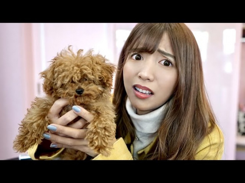 ヴァンゆん公式ユーチューブチャンネルより https://www.youtube.com/channel/UCftut9Z6S48igRNSQRDpCCg