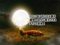 2023年7月3日は満月！自分を見つめなおし、立て直す再生のチャンス