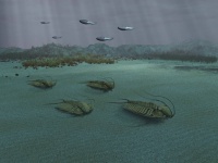 三葉虫が2度の大量絶滅を生きのびた理由を解明。その秘密は体の構造にあった