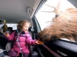 デカ過ぎだろ！　女児と戯れる“巨大トナカイ”が規格外だった！