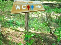 公共の場で選ぶトイレは「洋式トイレ＞和式トイレ」―洋式は和式の4倍！