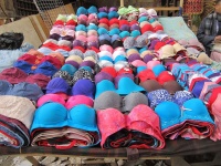 へ、変態だ...。画像はイメージです（David Stanleyさん撮影、flickrより）