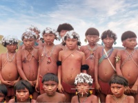 11000年間孤立していたアマゾンの原住民、ヤノマミ族に抗生物質耐性を持つ遺伝子が多数発見される（米研究）