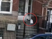 郵便物を盗むのは人間だけじゃなかった！リスが玄関から荷物を置引き