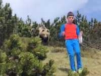 クマさんが後からついてくる事案。少年の危機一髪（イタリア）