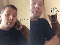 違うの、本能がそうさせるの！飼い主への愛情とチキンの間で揺れ動く猫の葛藤