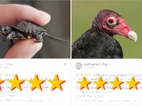 オレゴン動物園がはじめた「アマゾンのカスタマーレビュー風に動物たちを紹介」する企画が大ウケしている件