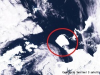 東京都の約2倍、世界最大の氷山が35年ぶりに移動。南極海の外へ流れ出ようとしている