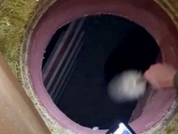 寝室の床に隠しマンホールを発見。その穴は地下の防空壕と食糧保管庫に繋がっていた（アメリカ）