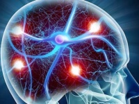 IQ（知能指数）の高さよりも大切な「ICE」とは？（米研究）