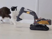 愛猫「うわ、こいつ何か動いとる！」おうちにやって来たショベルカーにおっかなびっくりご挨拶