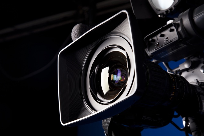 （C）Shutterstock