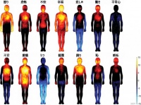 感情に応じて体がうずく。14の感情と体の変化を可視化した人体マップ（フィンランド研究）