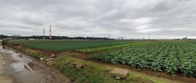 Googleストリートビューで見た農地の風景　（C）Google
