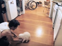 一度すべるとクセになる!?猫カーリングにハマっているリチャードくん