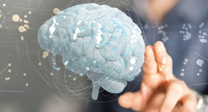 Dream Art Laboratoryのプレスリリース画像