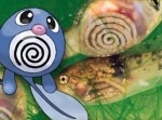 【一目でわかる】ポケモンのキャラクターの元になった生物は…