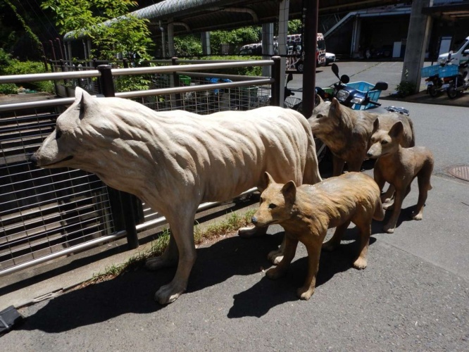 綺麗にするために持ち出された(画像は(公財)東京動物園協会提供)