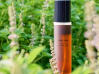 SHIROから今年もホーリーバジルオイルインウォーターが限定登場