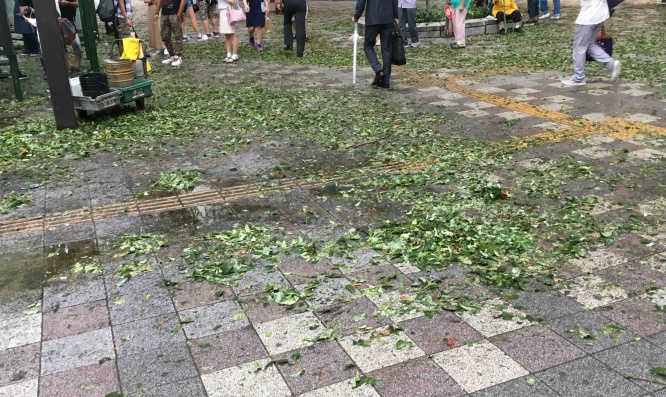 town20170718191958.jpg