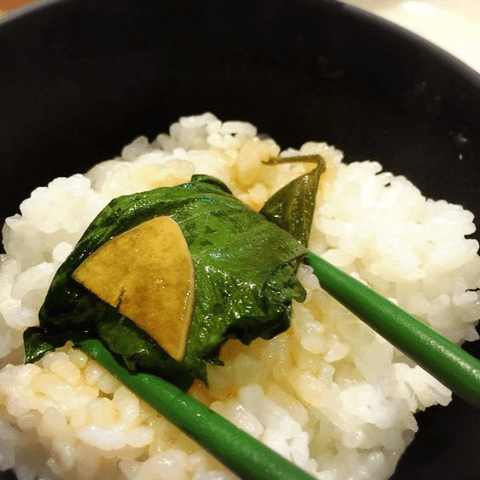 超合法ハーブ「SISHO」がヤバ旨！　一人飯には大葉が絶対的に必要不可欠。#3